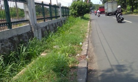 Tanaman Liar Meranggas di Trotoar Jalan I Gusti Ngurah Rai, Cakung,  Jakarta Timur,  Kamis (25/4). 