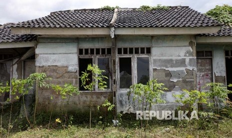 Tanaman liar tumbuh di lahan pekalangan rumah subsidi di Klapanunggal, Cileungsi, Bogor, Jawa Barat 