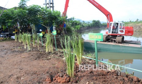 Menanam pohon di sekitar DAS Citarum. (foto ilustrasi).