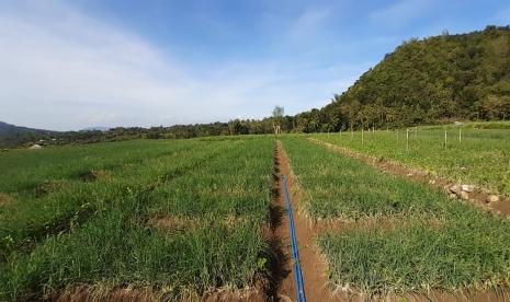 Komunitas Keagamaan Bersatu dalam Penanganan Iklim. Foto:   Tanggap iklim adalah satu hal yang penting dalam perlindungan dan budidaya hortikultura termasuk kunci keberhasilan pelaksanaan Kampung Hortikultura yang menjadi program strategis prioritas Kementerian Pertanian dengan luasan 5 - 10 hektar yang berupa akumulasi parsial lahan dalam satu wilayah desa