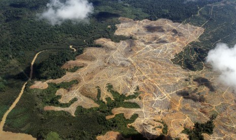 TARAKAN -- Foto udara lokasi penebangan di kawasan hutan Kalimantan Timur, Senin (16/7). Hasil riset Heart of Borneo (HoB) menyebutkan hutan alam seluas kurang lebih 22 juta hektar di wilayah Kalimantan dan sekitarnya terancam oleh alih fungsi ke pertamban