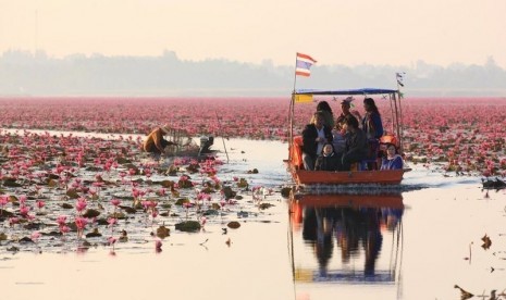 Telaga teratai berada di danau Nong Han Kumphawapi, kawasan timur laut Thailand.