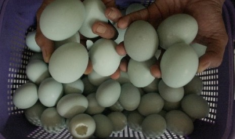 Cara membuat telur asin aneka rasa buah