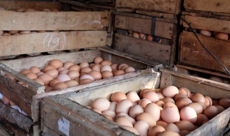 Telur ayam, satu kebutuhan yang sering berfluktuasi harganya di pasaran (ilustrasi)