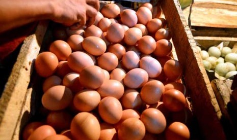 Telur ayam negeri