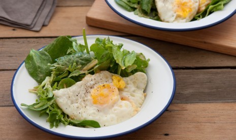 Telur dan salad