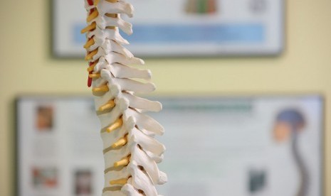 Telusuri dulu sertifikat terapi chiropractor Anda sebelum memutuskan menjalani terapi ini.