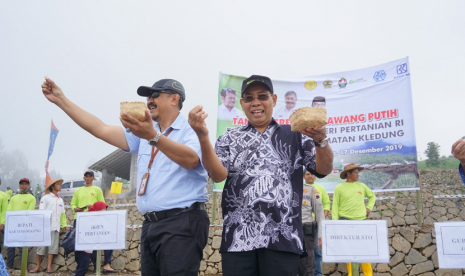 Temanggung gelar tanam serempak bawang putih.