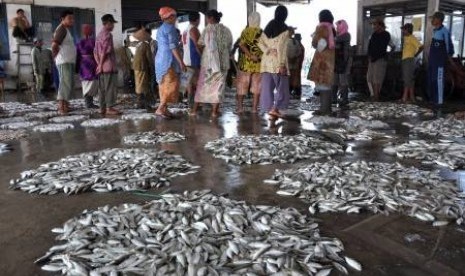 Tempat Pelelangan Ikan