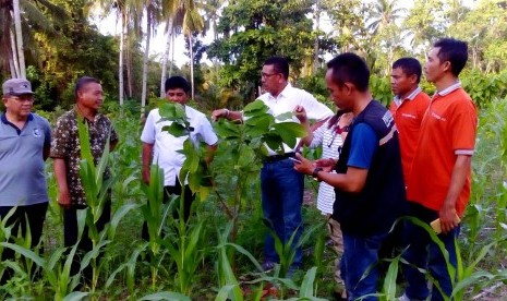 Temu lapang antara petani, peneliti, penyuluh,Kontak Tani Nelayan Andalan (KTNA), dan anggota Gabungan Kelompok Tani (Gapoktan) digelar di Desa Sidodadi, Kecamatan Sangkup Bolaang Mongondow Utara (Bolmut)