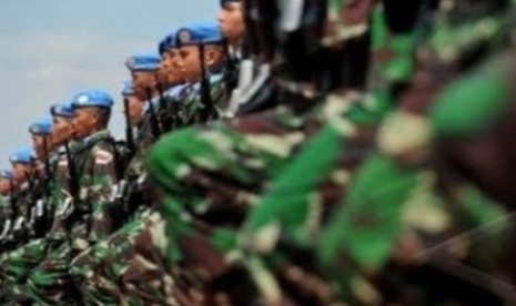 Tentara Nasional Indonesia