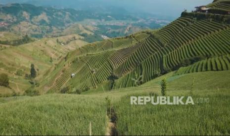 Terasering Panyaweuan di Kabupaten Majalengka