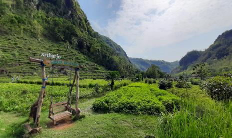 Terasering Sriharjo merupakan salah satu wisata alam di Lembah Sungai Oya di Selopamioro, Bantul, Yogyakarta