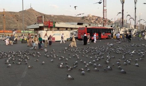 Terminal Syib Amir Makkah