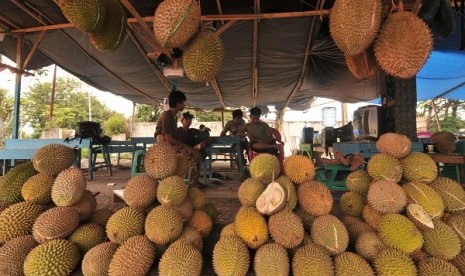 Festival durian 