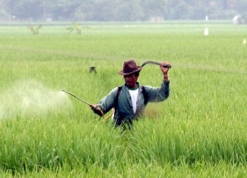 Government plans to divert fuel subsidy to fertilizer, seeds, and other posts to achieve self suffiiency in rice. (Illustration)