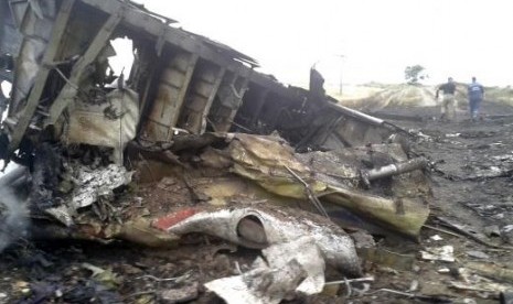 The site of a Malaysia Airlines Boeing 777 plane crash is seen in the settlement of Grabovo in the Donetsk region, July 17, 2014. 