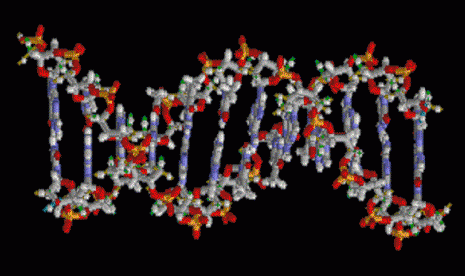 The structure of part of a DNA (illustration)