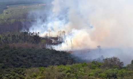 Thick smoke billows from forest fire in Riau on March 20, 2014. (File photo)