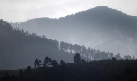 Tiga lapis hutan di kawasan Danau Toba, Samosir, Sumut. (ilustrasi)