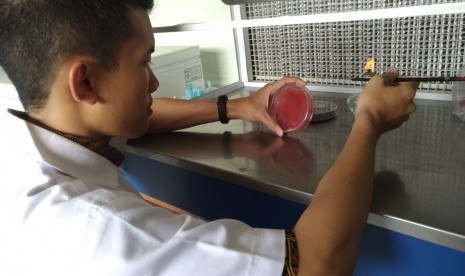 Tiga mahasiswa IPB mengembangkan alat pendeteksi penyakit hematuria.