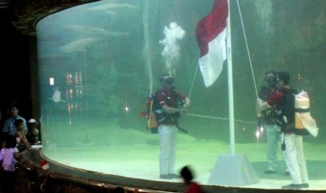 Tiga penyelam mengibarkan bendera merah putih di akuarium hiu SeaWorld, Jakarta, Jumat (17/8).