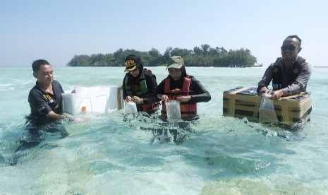 Tim BKIPM Semarang melepasliarkan 38.900 ekor benih lobster di perairan pulau Cemara Besar, Karimunjawa, Kabupaten Jepara. 