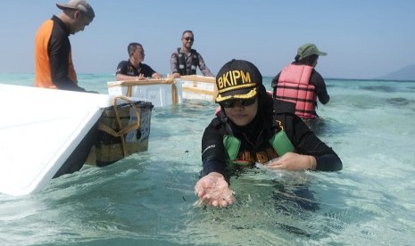 Tim BKIPM Semarang melepasliarkan 38.900 ekor benih lobster di perairan pulau Cemara Besar, Karimunjawa, Kabupaten Jepara, Senin (20/5). 