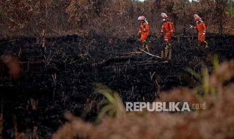 (Ilustrasi) Tim Cegah Api Greenpeace meyisir lahan gambut di Sungai Putri, Kabupaten Ketapang, Kalimantan Barat.