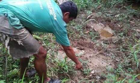 Tim dari Balai Konservasi Sumber Daya Alam (BKSDA) Sumbar bersama warga  Jorong Kampung Padang Nagari Aia Manggih Barat kecamatan Lubuk Sikaping, Pasaman tengah mendeteksi jejak Harimau Sumatera yang memangsa ternak warga, Senin (22/7) 