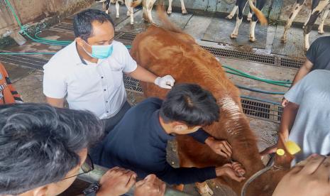 Tim dosen Universitas Muhammadiyah Malang (UMM) mengadakan kegiatan pengabdian masyarakat di Desa Bicak, Kecamatan Trowulan, Mojokerto. Pada kegiatan ini, tim menjalankan tiga program antara lain peningkan produktivitas sapi menggunakan pakan limbah bir, pembuatan biogas untuk warga, serta pemanfaatan limbah biogas menjadi pupuk cair dan padat. 