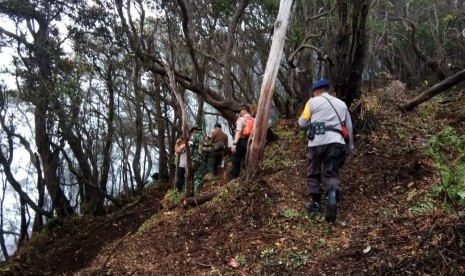 Tim gabungan, menyisiri kawasan wisata alam Kawah Putih dengan cara berjalan kaki, Rabu (9/10). Penyisiran ini, memastikan apakah masih ada sumber api baru atau tidak. 