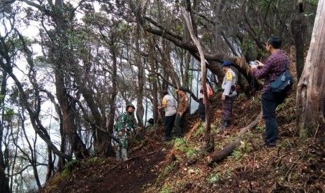 Tim gabungan, menyisiri kawasan wisata alam Kawah Putih dengan cara berjalan kaki, Rabu (9/10). Penyisiran ini, memastikan apakah masih ada sumber api baru atau tidak. 