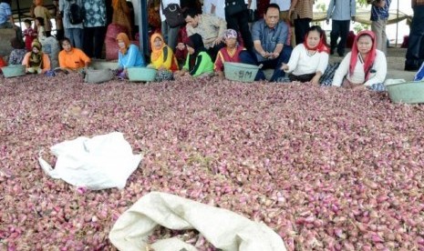 Tim Komisi IV DPR RI melakukan pertemuan dengan sejumlah petani bawang di Brebes.