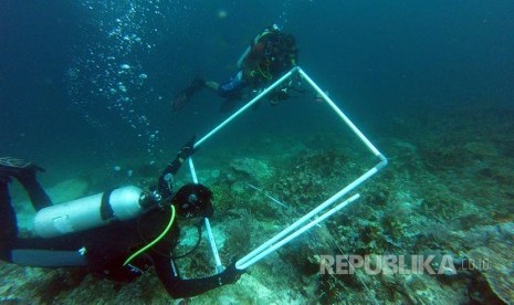 Tim peneliti mendata kerusakan karang yang disebabkan kandasnya Kapal MV Caledonian Sky berbendera Bahama di perairan Raja Ampat, Papua Barat, Sabtu (4/3).