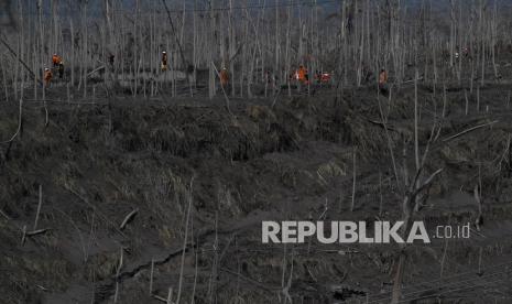 Sebanyak 33 titik panas di Kalimantan Timur tersebar di empat kabupaten.