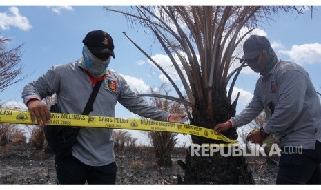 Tim Satgas Gakum Karhutla Dit Reskrimsus Polda Kalsel memasang garis polisi di lahan terbakar milik PT MIB di Kecamatan Martapura Barat, Kabupaten Banjar, Kalimantan Selatan, Rabu (25/9/2019).