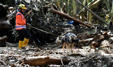 TimTim SAR Dog Jawa Timur melakukan pencarian korban banjir bandang di tumpukan material banjir bandang di Sungai Anak Kali Brantas, Kota Batu, Jawa Timur, Sabtu (6/11/2021). Tim SAR Dog Jawa Timur melakukan penyisiran di sungai tersebut guna mencari titik dugaan korban banjir bandang yang masih belum ditemukan. SAR Dog Jawa Timur melakukan pencarian korban banjir bandang di tumpukan material banjir bandang di Sungai Anak Kali Brantas, Kota Batu, Jawa Timur, Sabtu (6/11/2021). Tim SAR Dog Jawa Timur melakukan penyisiran di sungai tersebut guna mencari titik dugaan korban banjir bandang yang masih belum ditemukan.