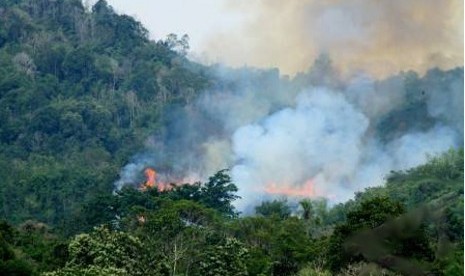 Titik api akibat kebakaran hutan.