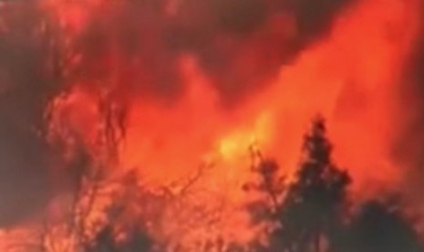 Titik api di hutan California