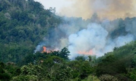 Titik panas kebakaran lahan di Sumatra.