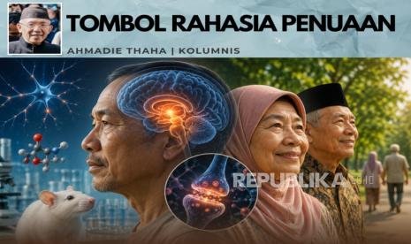 Tombol Rahasia Penuaan