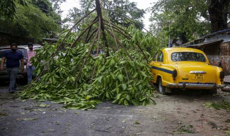 Topan Amphan Sapu India dan Bangladesh. Pohon tumbang di tengah jalan di Kolkata, India, Kamis (21/5).