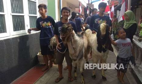 Tradisi Arak-arakan hewan kurban di Kota Malang, Rabu (22/8). 