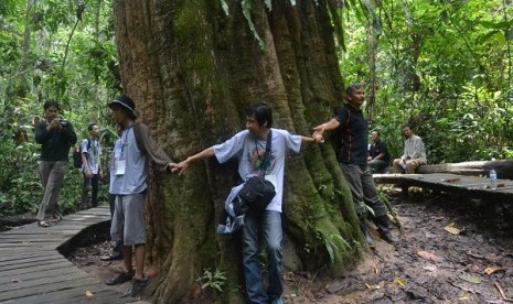 Suasana di dalam Taman Nasional Kutai.