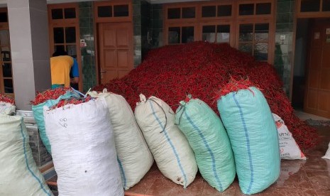 Tumpukan cabai milik petani hasil panen raya di Trisik Banaran Kecamatan Galur, Kabupaten Kulonprogo, Jumat (6/12).