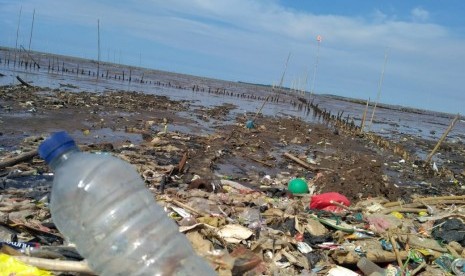 Tumpukan sampah, pendangkalan dan penyempitan jadi bahaya kerusakan lingkungan di Muara Sungai Cisadane, Desa Tanjung Burung, Kabupaten Tangerang. 