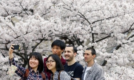 Turis berfoto bersama dengan latar bunga sakura yang sedang mengembang di Tokyo, Jepang.