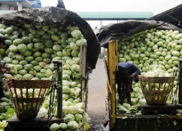 Two workers put imported cabbage on the scale before distribute it to retailers. (photo file)