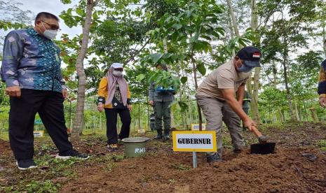 ubernur Kalimantan Selatan Sahbirin Noor menanam pohon meranti di Hutan Kota Komplek Perkantoran Pemprov Kalsel, Banjarbaru  Kamis (13/1). Paman Birin menanam pohon meranti sembari mengucap Shalawat kepada Baginda Nabi Muhammad SAW dengan harapan pohon tersebut tumbuh subur dan dapat memberi manfaat.